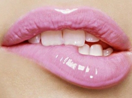 Saggitarius Rixhorse